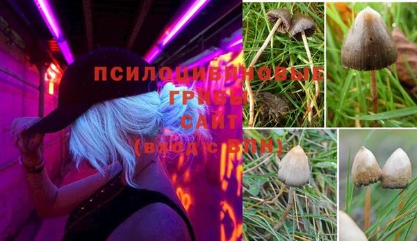 MESCALINE Рославль