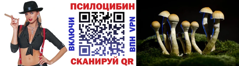 Псилоцибиновые грибы мухоморы  ОМГ ОМГ как войти  Покров 